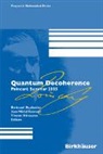 Jean-Michel Raimond, Vincent Rivasseau - Quantum Decoherence