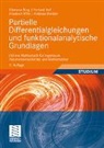 Klemens Burg, Herbert Haf, Andreas Meister, Friedrich Wille - Partielle Differentialgleichungen und funktionalanalytische Grundlagen