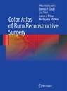 Hiko Hyakusoku, Rei Ogawa, Dennis P. Orgill, Julian J. Pribaz, Luc Téot - Color Atlas of Burn Reconstructive Surgery
