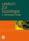 Werner Fuchs-Heinritz, Daniela Klimke, Rüdiger Lautmann, Rüdiger Lautmann u a, Otthein Rammstedt, Urs Stäheli... - Lexikon zur Soziologie