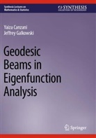 Yaiza Canzani, Jeffrey Galkowski - Geodesic Beams in Eigenfunction Analysis