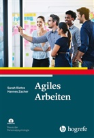 Sarah Rietze, Hannes Zacher - Agiles Arbeiten