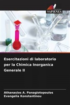 Evangelia Konstantinou, Athanasios A. Panagiotopoulos - Esercitazioni di laboratorio per la Chimica Inorganica Generale II