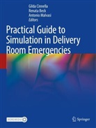 Renata Beck, Gilda Cinnella, Antonio Malvasi - Practical Guide to Simulation in Delivery Room Emergencies