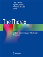Patricia M. de Groot, Patricia M de Groot, Cesar A. Moran, Mylene T Truong, Mylene T. Truong - The Thorax