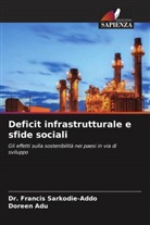 Doreen Adu, Dr. Francis Sarkodie-Addo, Francis Sarkodie-Addo - Deficit infrastrutturale e sfide sociali