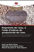 Sigifredo Armendáriz Erives, José Luis Ríos Flores, Manuel de Jesus A. Ruiz-Esparza - Empreinte de l'eau, à l'aide d'indices de productivité de l'eau