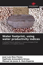 Sigifredo Armendáriz Erives, José Luis Ríos Flores, Manuel de Jesus A. Ruiz-Esparza - Water footprint, using water productivity indices