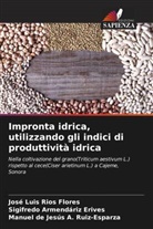 Sigifredo Armendáriz Erives, José Luis Ríos Flores, Manuel de Jesus A. Ruiz-Esparza - Impronta idrica, utilizzando gli indici di produttività idrica