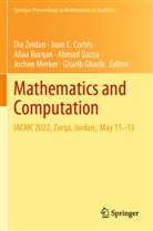Aliaa Burqan, Aliaa Burqan et al, Juan C Cortés, Juan C. Cortés, Gharib Gharib, Jochen Merker... - Mathematics and Computation