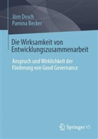 Pamina Becker, Jörn Dosch - Die Wirksamkeit von Entwicklungszusammenarbeit