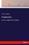 Mary W. Shelley - Frankenstein