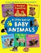 Armadillo Press, Press Armadillo - LITTLE BOX OF BABY ANIMALS