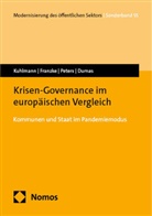 Benoît Paul Dumas, Jochen Franzke, Sabine Kuhlmann, Niklas Peters, Niklas u Peters - Krisen-Governance im europäischen Vergleich