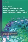Merve Hickok - From Trustworthy AI Principles to Public Procurement Practices