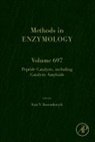 Ivan (EDT) Korendovych - Peptide Catalysts, Including Catalytic Amyloids