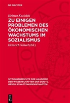 Helmut Koziolek, Heinrich Scheel - Zu einigen Problemen des ökonomischen Wachstums im Sozialismus