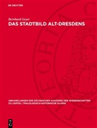 Bernhard Geyer - Das Stadtbild Alt-Dresdens