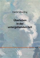 Patrik Silberling - Überleben in der untergehenden Zeit
