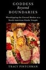 Tracy Pintchman, Tracy (Professor of Religious Studies a Pintchman, Pintchman Tracy - Goddess Beyond Boundaries