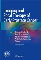Jean de la Rosette, Madhi Mottaghi, Mahdi Mottaghi, Thomas J. Polascik, Ardeshir Rastinehad, Ardeshir R. Rastinehad... - Imaging and Focal Therapy of Early Prostate Cancer