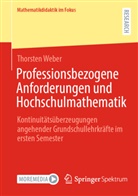 Thorsten Weber - Professionsbezogene Anforderungen und Hochschulmathematik