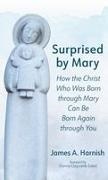 James A. Harnish - Surprised by Mary