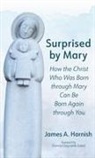 James A. Harnish - Surprised by Mary