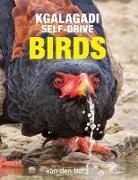 Philip And Ingrid van den Berg - Kgalagadi Self-Drive Birds