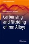 Emilia Wo¿owiec-Korecka, Emilia Wolowiec-Korecka - Carburising and Nitriding of Iron Alloys