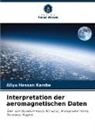 Aliyu Hassan Kamba - Interpretation der aeromagnetischen Daten