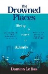 Damian Le Bas, Bas Damian Le - The Drowned Places