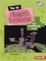 Jackie Golusky - Top 10 Minecraft Structures
