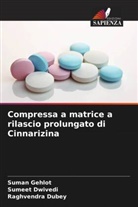 Raghvendra Dubey, Sumeet Dwivedi, Suman Gehlot - Compressa a matrice a rilascio prolungato di Cinnarizina