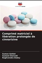 Raghvendra Dubey, Sumeet Dwivedi, Suman Gehlot - Comprimé matriciel à libération prolongée de cinnarizine