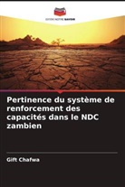 Gift Chafwa - Pertinence du système de renforcement des capacités dans le NDC zambien