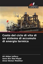 Ali Akbar Jaffery, Amin Bin Abd Majid, Ainul Akmar Mokhtar - Costo del ciclo di vita di un sistema di accumulo di energia termica
