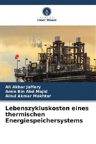 Ali Akbar Jaffery, Amin Bin Abd Majid, Ai Mokhtar, Ainul Akmar Mokhtar - Lebenszykluskosten eines thermischen Energiespeichersystems