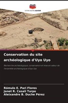 Janet R. Casali Turpo, Aleixandre B. Duche Pérez, Rómulo E. Pari Flores - Conservation du site archéologique d'Uyo Uyo