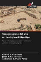 Janet R. Casali Turpo, Aleixandre B. Duche Pérez, Rómulo E. Pari Flores - Conservazione del sito archeologico di Uyo Uyo