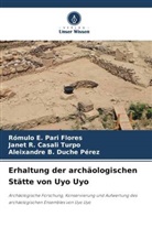 Janet R Casali Turpo, Janet R. Casali Turpo, Duche, Aleixandre B. Duche Pérez, Rómulo E Pari Flores, Rómulo E. Pari Flores - Erhaltung der archäologischen Stätte von Uyo Uyo