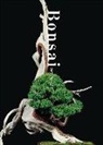 Kunio Kobayashi - BONSAI