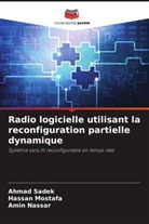 Hassan Mostafa, Amin Nassar, Ahmad Sadek - Radio logicielle utilisant la reconfiguration partielle dynamique