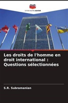 S. R. Subramanian - Les droits de l'homme en droit international : Questions sélectionnées
