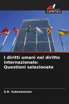 S. R. Subramanian - I diritti umani nel diritto internazionale: Questioni selezionate