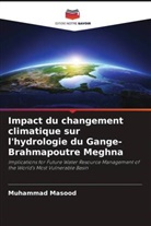 Muhammad Masood - Impact du changement climatique sur l'hydrologie du Gange-Brahmapoutre Meghna