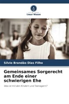 Sílvio Brandão Dias Filho - Gemeinsames Sorgerecht am Ende einer schwierigen Ehe