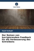 Sajad Sadeghi - Der Nutzen von korrigierendem Feedback für die Verbesserung des Schreibens