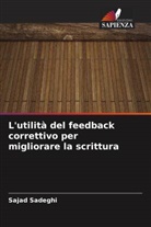 Sajad Sadeghi - L'utilità del feedback correttivo per migliorare la scrittura
