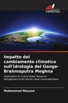 Muhammad Masood - Impatto del cambiamento climatico sull'idrologia del Gange-Brahmaputra Meghna